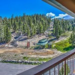 416 Quaking Aspen view