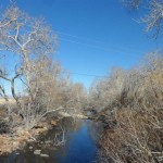 6849 Diamond Valley view
